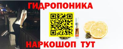 прущие крисы Новодвинск